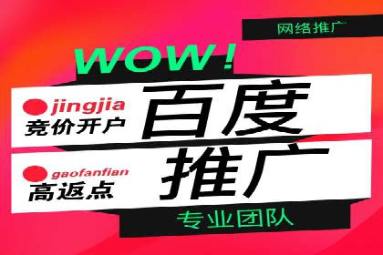 SEM竞价代运营公司案例详解：如何制定有效的竞价策略